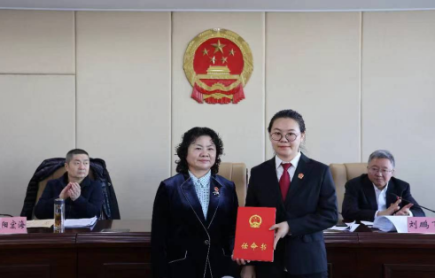 首页>动态要闻>平城动态>会上,区人大常委会主任王丽萍向当选同志